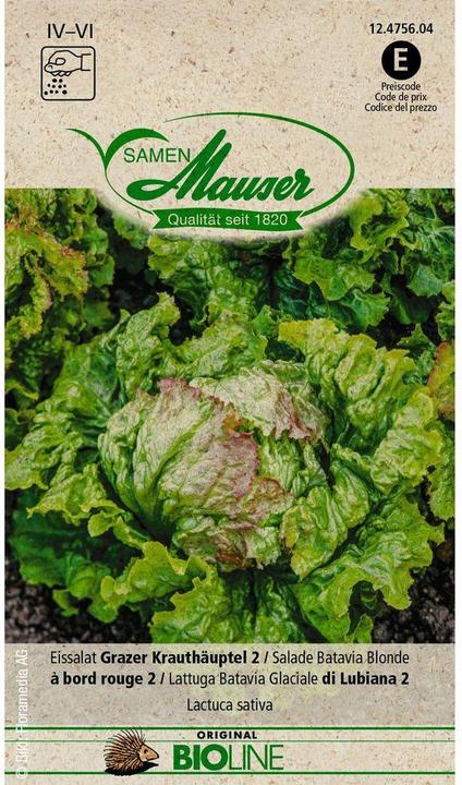Produktbild Samen Mauser Bio Eissalat Grazer Krauthäuptel 2 (Gemüsesamen)