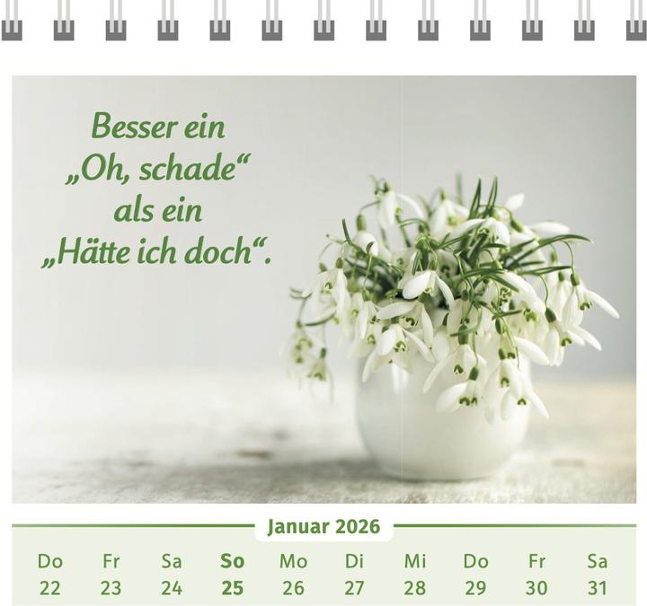 Produktbild Wolf:Der Lebensfreude-Tischkalender 202 (17 x 15,6 cm)