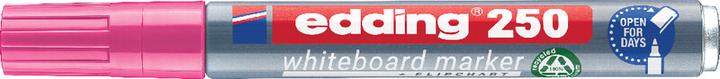 Actual product image Edding 250 (Rose, 3 mm, 1 x)