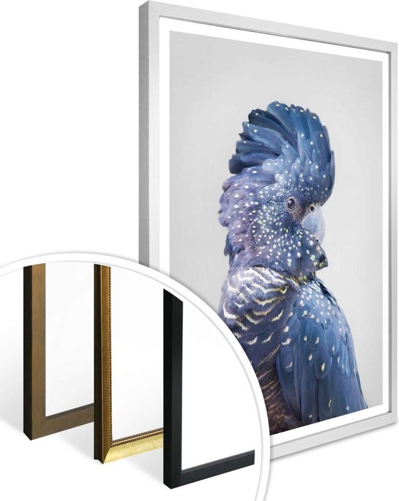 Image du produit Trenddeko Cacatoès bleu (80 x 100 cm)