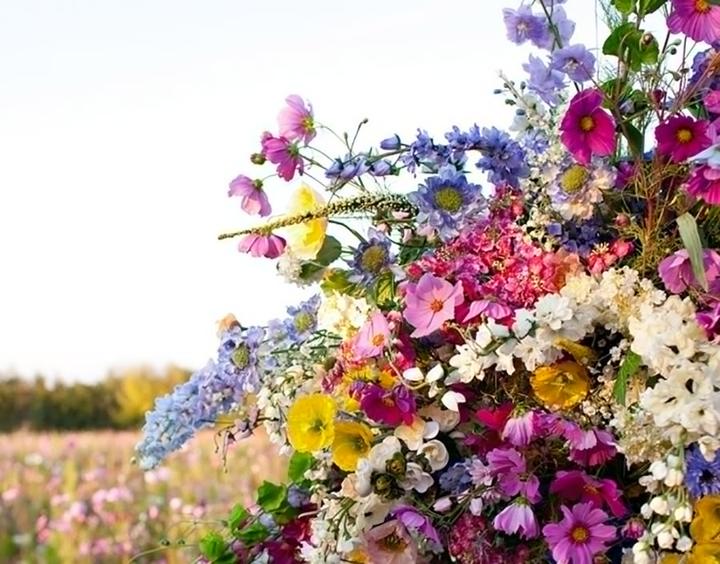 Produktbild Carolina Herrera CH L'Eau (Eau de Toilette, 100 ml)