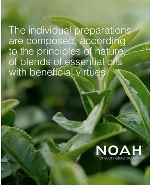 Image du produit Noah Origins COSMOS ORGANIC Conditionneur hydratant pour tous types de cheveux 250ml - Fabriqué en (250 ml)