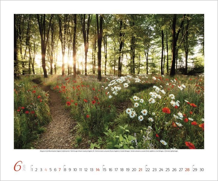 Image du produit Verlag Bildkalender AugenblickeStill 2026, Papierformat: Kein (Pas de)