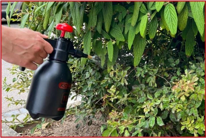 Produktbild KS Tools Druckpump-Zerstäuber (1 l)