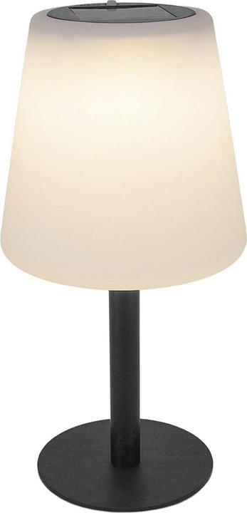 Actual product image LED Solar Table Lamp