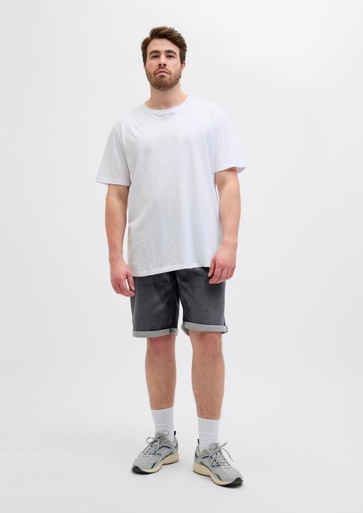 Actual product image Jack & Jones JJIRICK JJICON I.K. SHORTS GE 062 SN PLS (40)