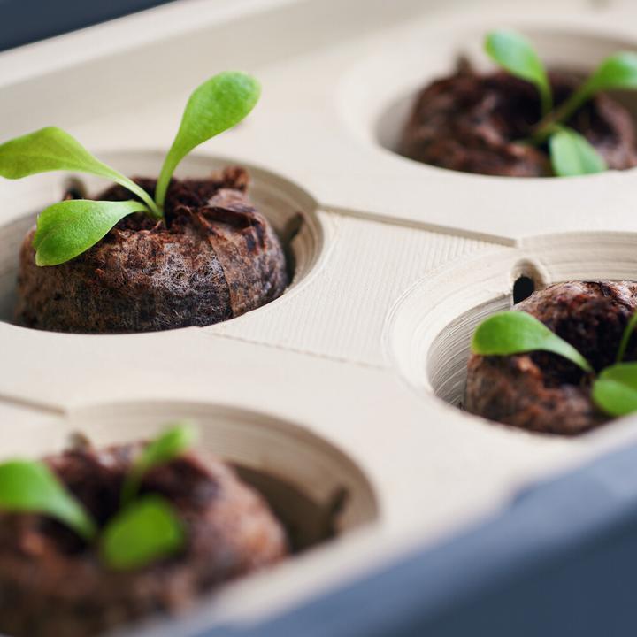 Actual product image Gusta Garden Kräutertopf HARRY HERBS mit Haube, Weiss (36.50 x 15 x 25 cm)