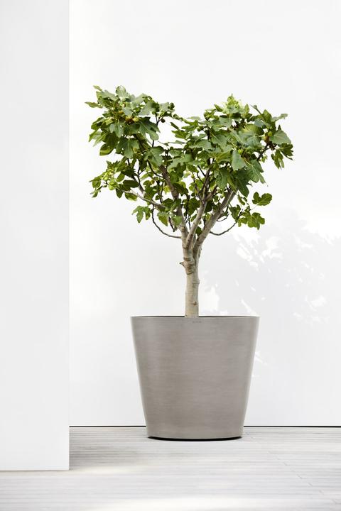 Immagine prodotto Ecopots Ruote di Amsterdam (80 x 72 cm)