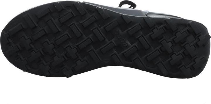 Immagine prodotto Ecco BIOM 2,1 X - PAESE M (43)