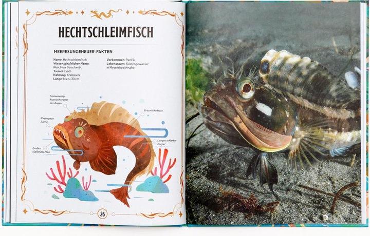 Produktbild Echte Meeresungeheuer (Deutsch, Anita, Ganeri, 2024)