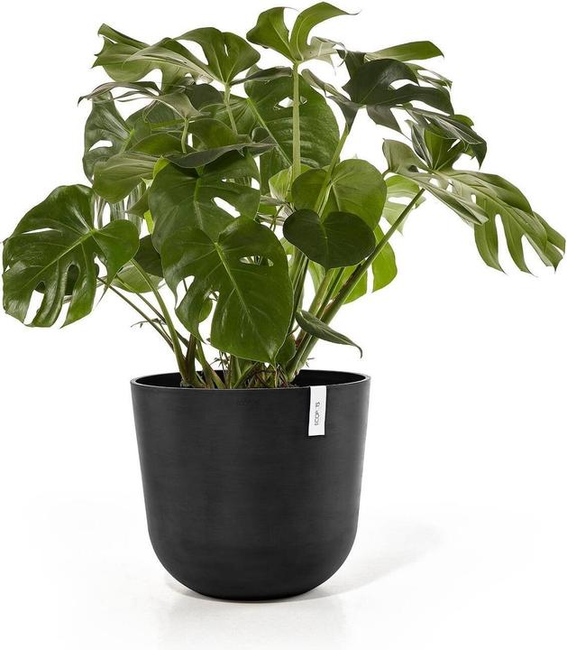 Produktbild Ecopots Oslo (55 x 48 cm)