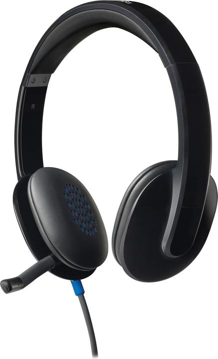 Immagine prodotto Logitech DUPLICATO H540 (Cablato, USB-A)