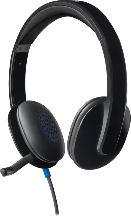 Produktbild Logitech DUPLIKAT H540 (Kabelgebunden, USB-A)