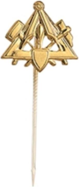 Immagine prodotto FHB Pin oro 894