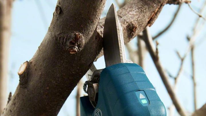 Actual product image Bosch Professional Pro Pruner