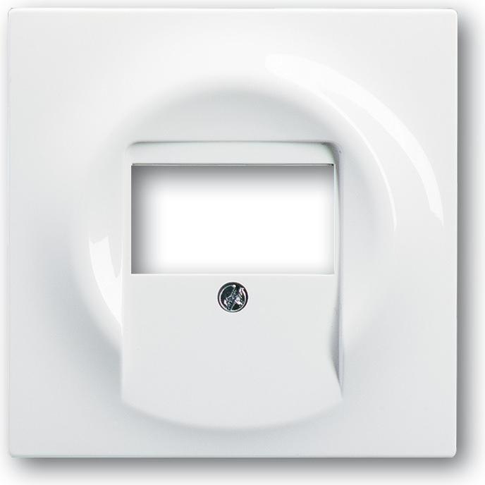 Actual product image Busch-Jaeger Central disk