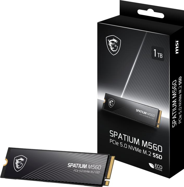 Actual product image MSI Spatium M560 (1000 GB, M.2 2280)