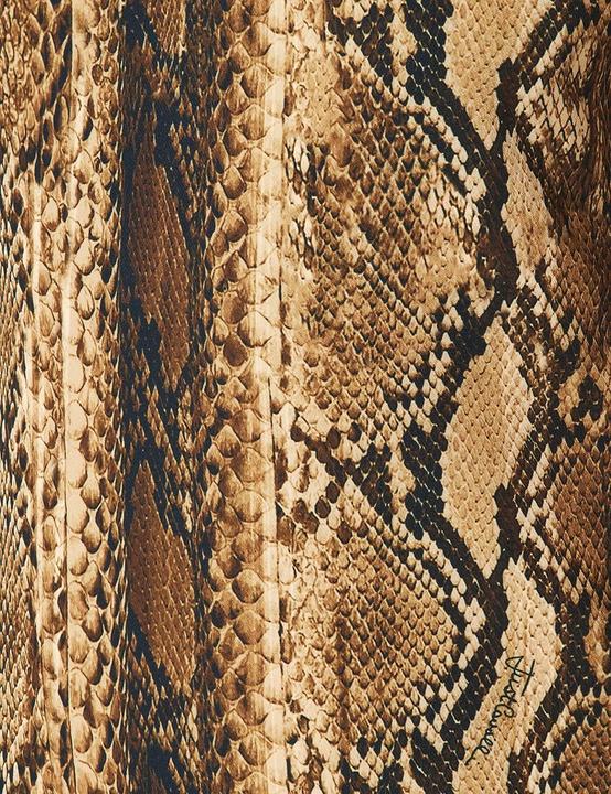 Image du produit Just Cavalli Abito da Cavalli (42)