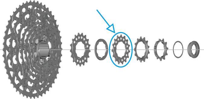 Produktbild Shimano Zahnkranz CS-LG700 15 Zähne (15)