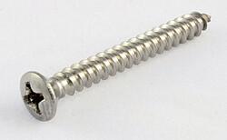 Immagine prodotto AllParts AP GS 0003-005 Vite cinghia pulsante SS (4) (Cinghia per strumenti)