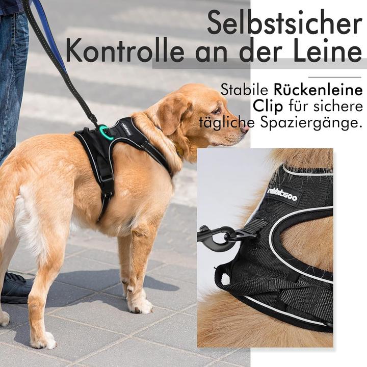Actual product image Rabbitgoo No-pull dog harness (L, Dog, General)