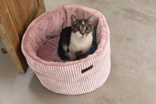 Actual product image Designed by Lotte Katzen Korb Ribbed (Cat)