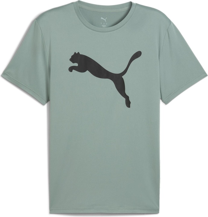 Actual product image Puma M TAD ESSENTIALS Solid Cat Tee (CF big cat) (M)