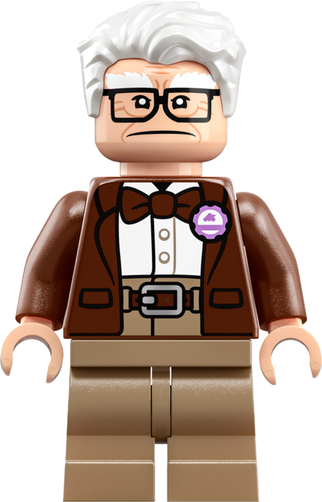 Actual product image LEGO Carl's house from "Upstairs (43217, LEGO Disney)