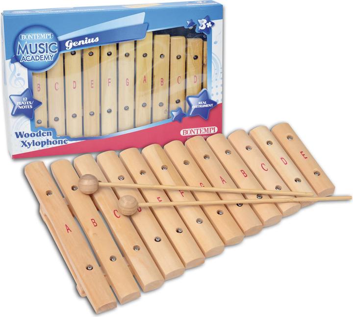 Image du produit Bontempi Xylophone