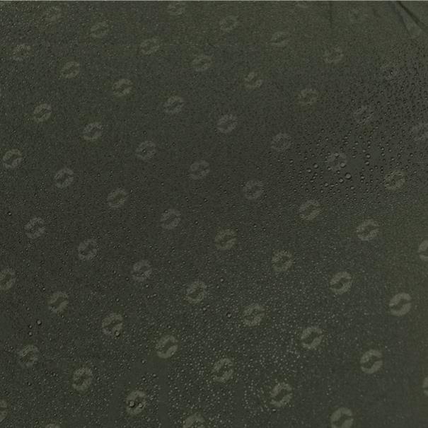 Actual product image Outwell Lindale 5PA Tent (Tunnel tent, 18.60 kg, 5 persons)