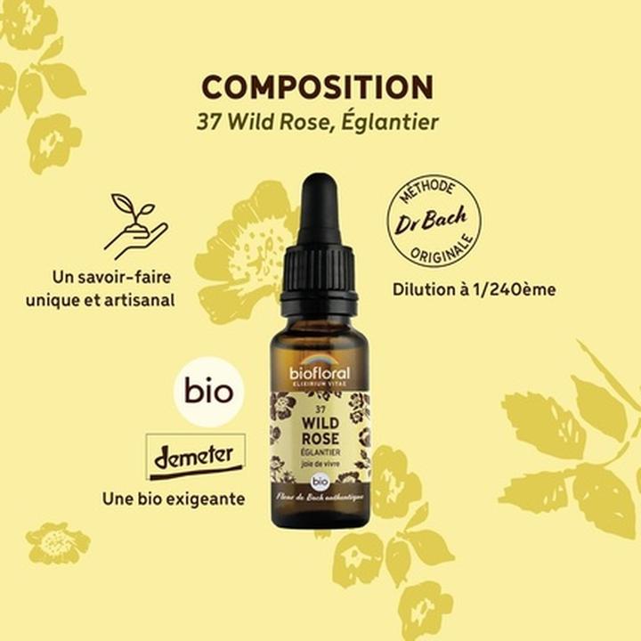 Actual product image Biofloral Elixir Wild Rose (20 ml)
