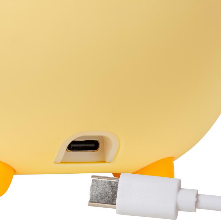 Image du produit Lucide Pincha Duck