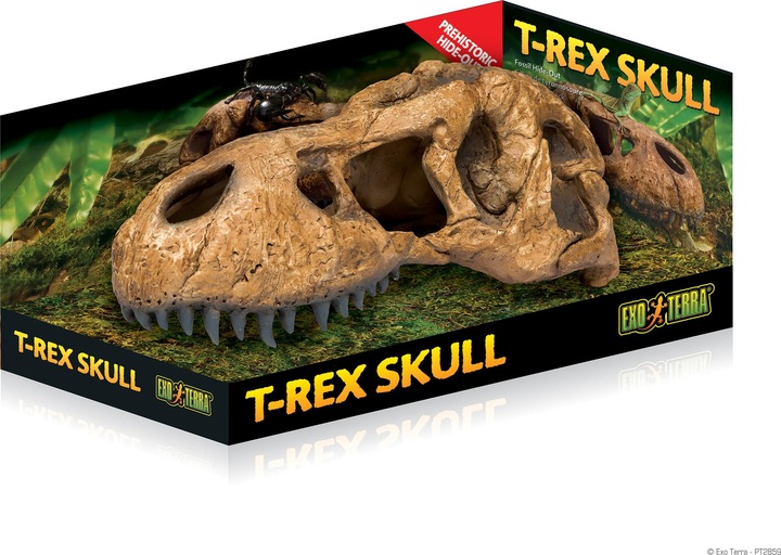 Actual product image Exo Terra EXOTERRA - Cave T Rex Skull - (222.2059)