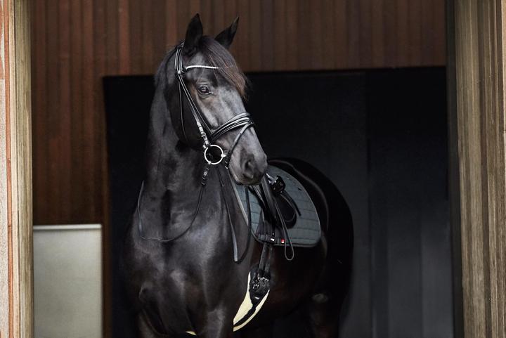 Produktbild Catago Sattelgurt