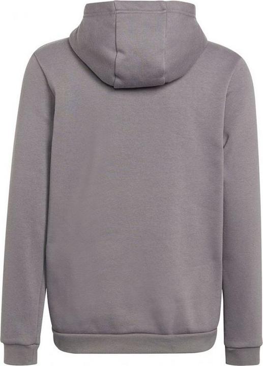 Produktbild Adidas Entrada 22 Kapuzenpullover (116)