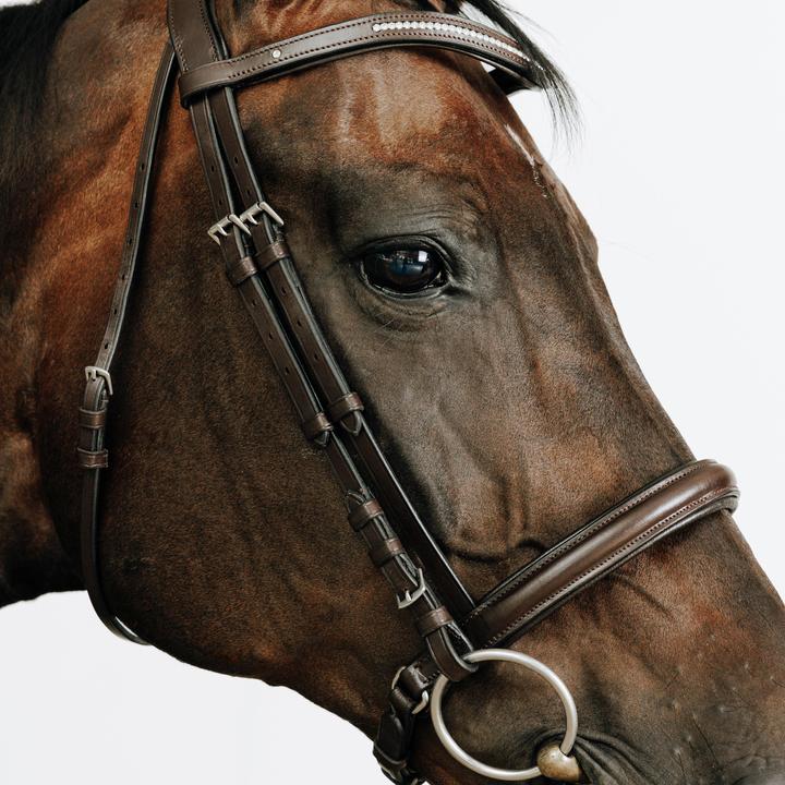 Immagine prodotto Fouganza Trense 580 Strass braun