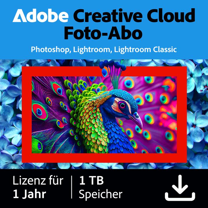 Adobe Creative Cloud Photography plan (1TB) (1 User, 1 Geräte/User, 12 Monate)