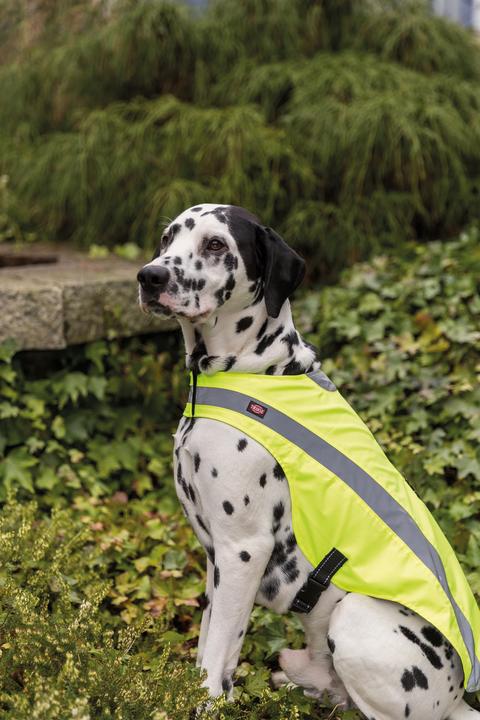 Actual product image Trixie Safety waistcoat, reflective (M, Dog vest)