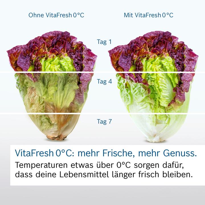 Actual product image Bosch Hausgeräte KGN392LAG (363 l)