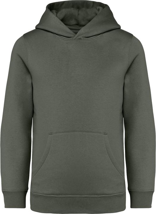 Image du produit Native Spirit Sweatshirt à capuche écoresponsable enfant