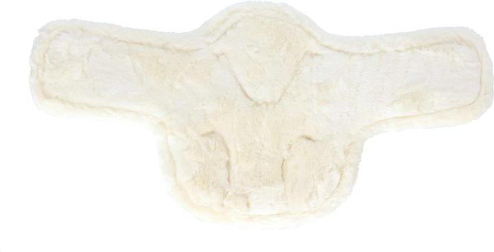 Produktbild eQuick Sattelgurt