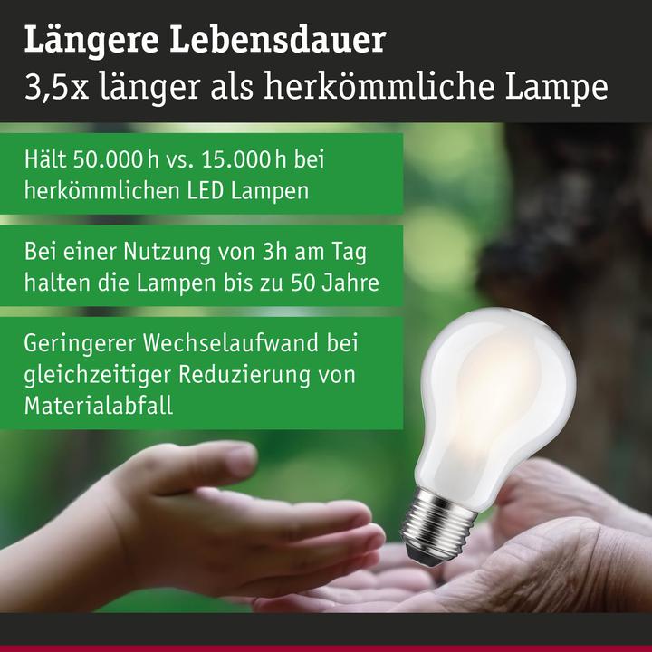 Produktbild Paulmann AGL Eco-Line (E27, 2.50 W, 470 lm, 1 x, B)