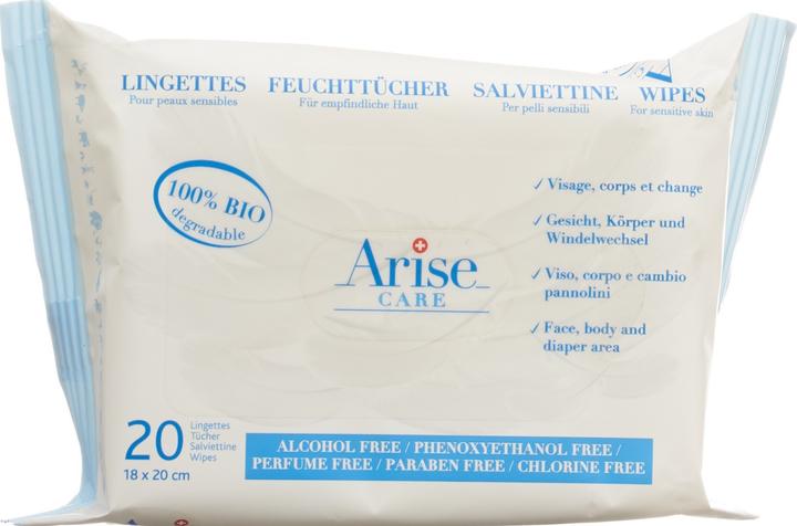 Arise Traveller (20 Piece)