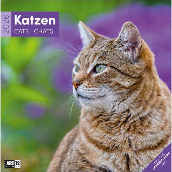 Produktbild Katzen Kalender 2026 - 30x30