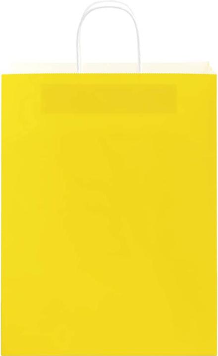 Image du produit vidaXL Papiertragetasche (250x)