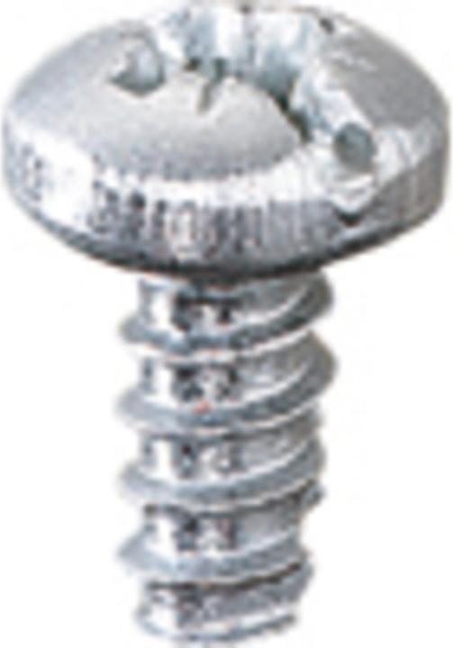Actual product image Hensel Fastening screws (100 Screws per piece)