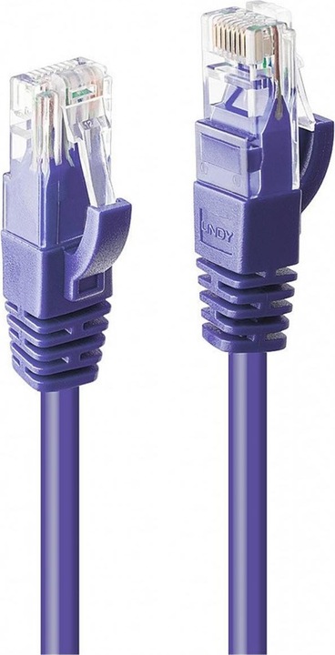 Lindy Câble réseau (U/UTP, CAT6, 0.30 m)