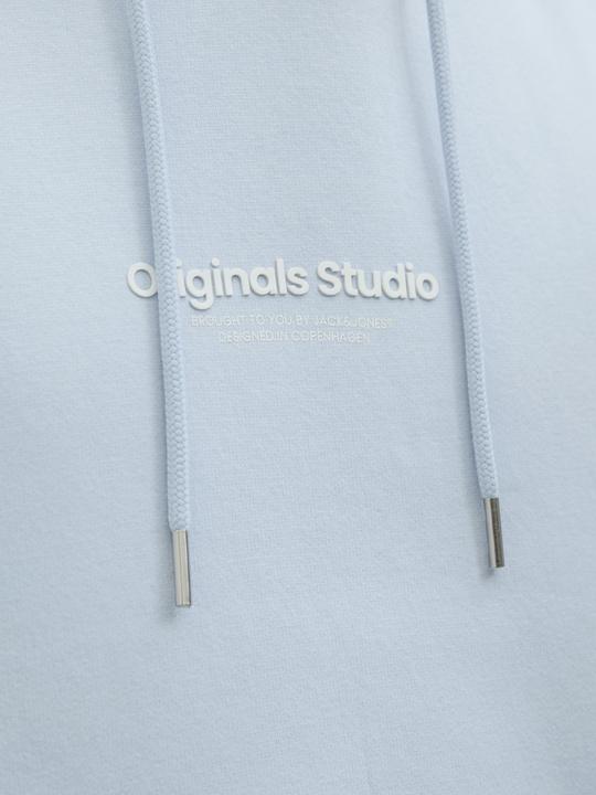 Produktbild Jack & Jones Jorvesterbro Sweat Hood Noos (S)