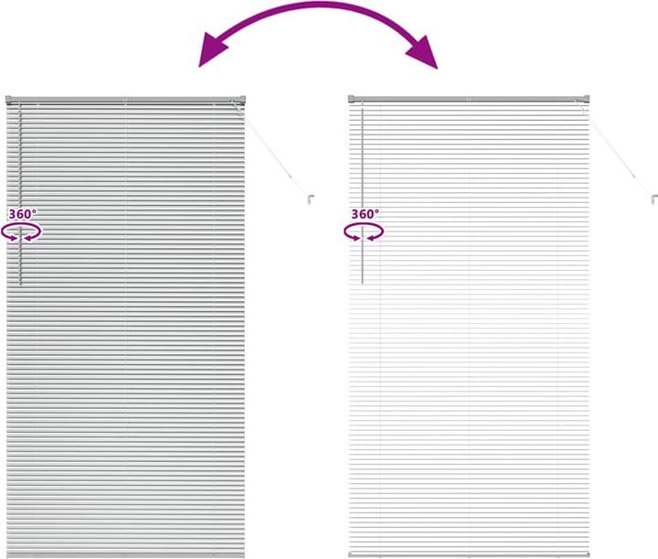 Immagine prodotto VidaXL Tende per finestre (110 x 220 cm)