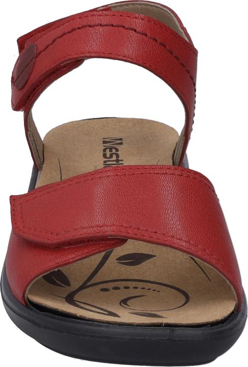 Actual product image Westland 16779-201 (39)